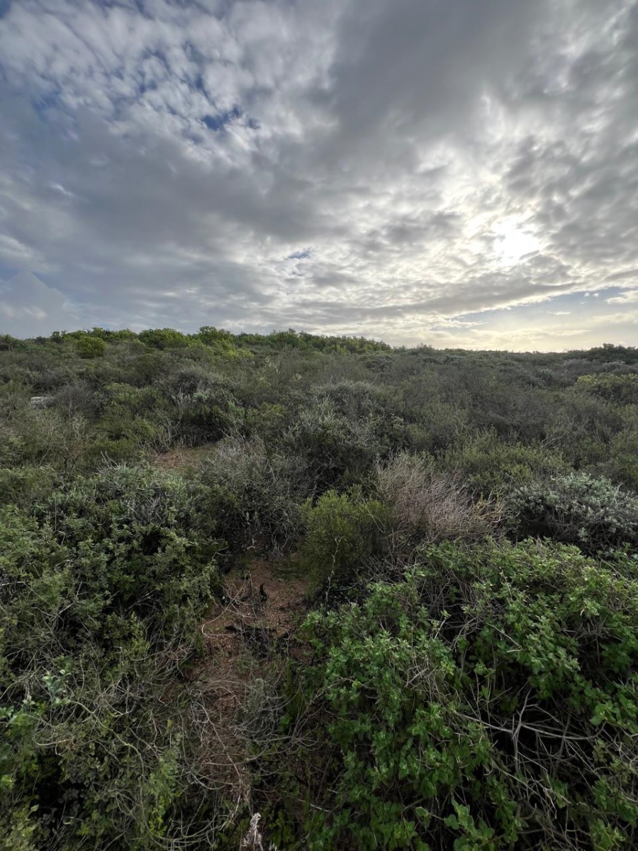  Bedroom Property for Sale in Britannica Heights Western Cape